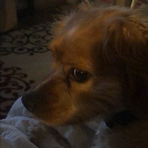 Meet your Posher, Valerie